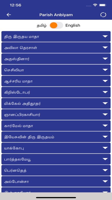Screenshot #1 pour Lourdes Shrine - Madurai