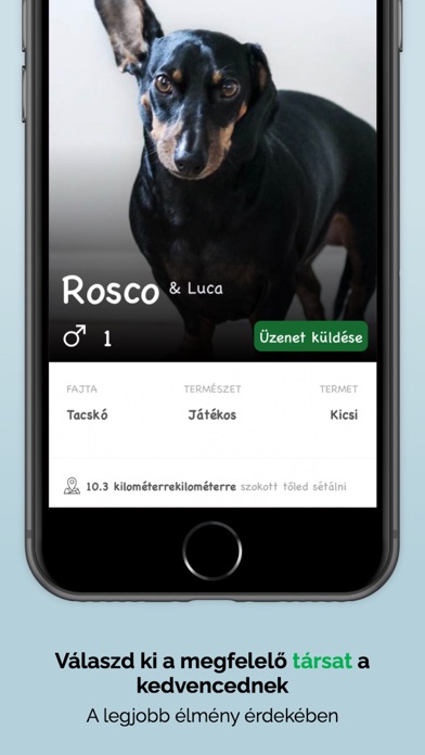 KutyaTali Screenshot