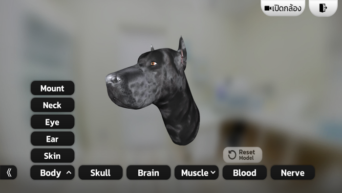 ARGBL CANINE HEAD