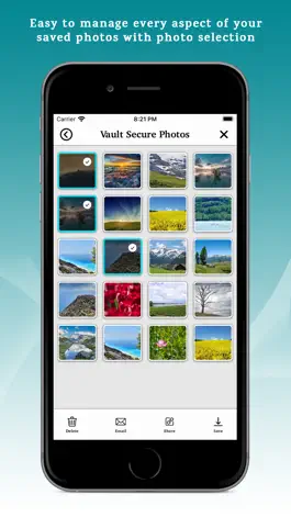 Game screenshot Vault - Secure Photo Gallery apk