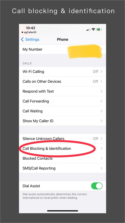 sgCallerID screenshot-3