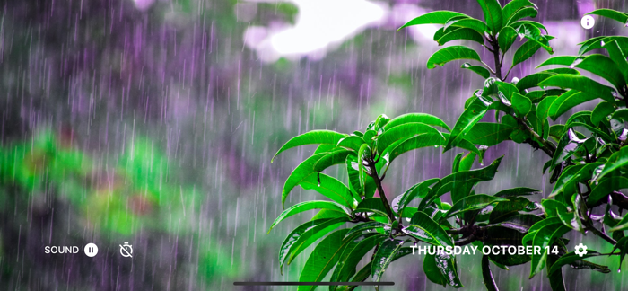 Rain Sounds Sleep Aid