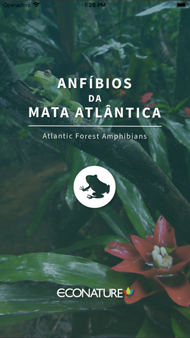 Anfíbios da Mata Atlântica Screenshot
