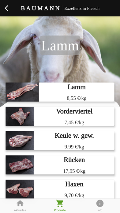 Baumann Screenshot