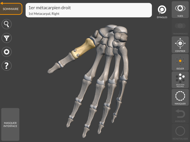 ‎Anatomie 3D pour l'Artiste Capture d'écran