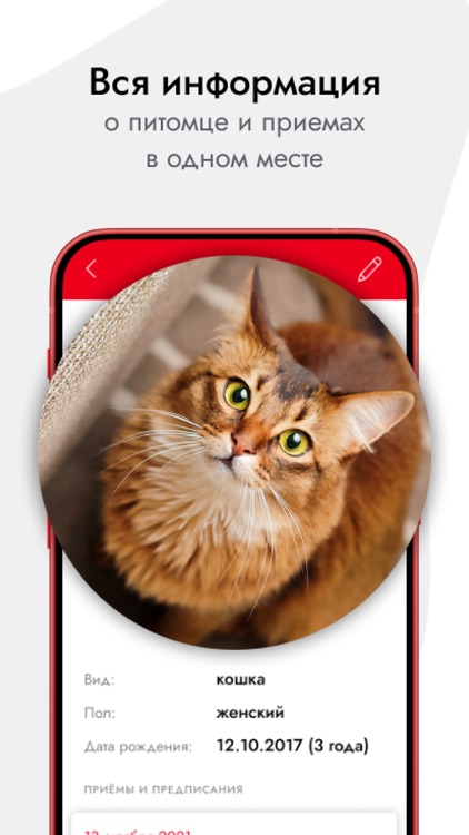 MyVet Online screenshot-4