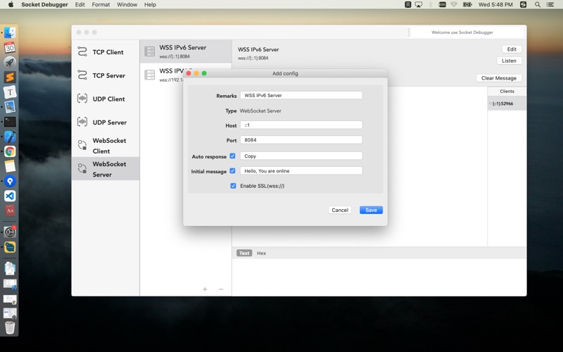 Screenshot #1 pour Socket Debugger