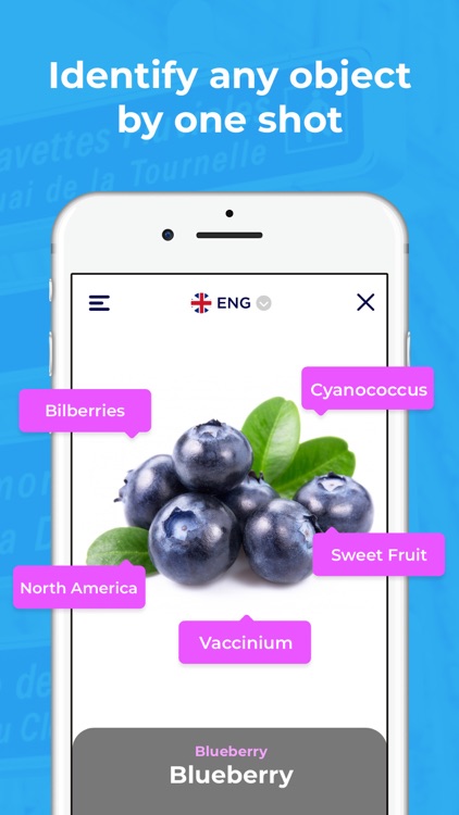 EZ Lens - Translator screenshot-3