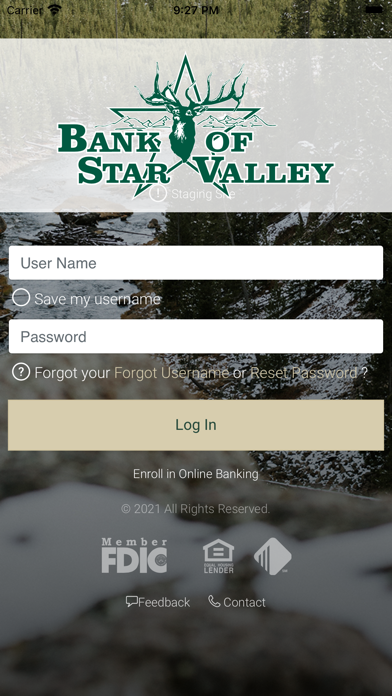 Bank of Star Valley Screenshot