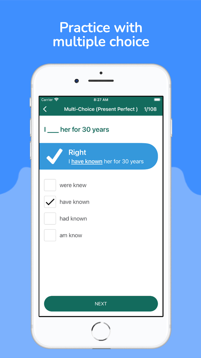 12 English tenses practice