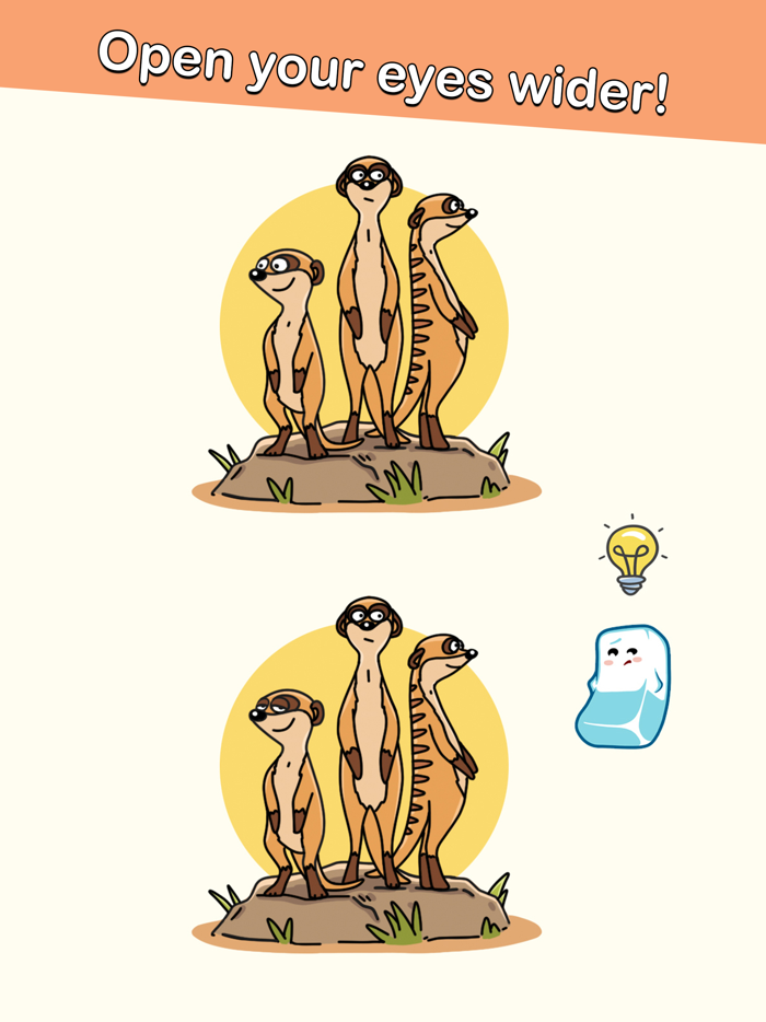 Erase the Difference Puzzle