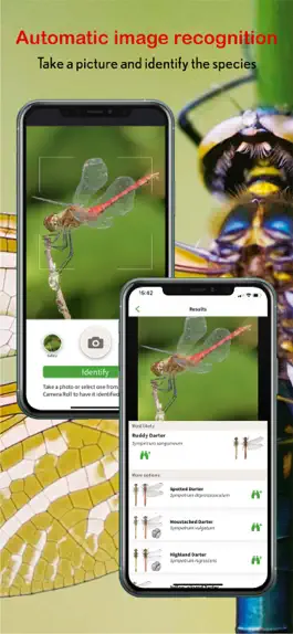 Game screenshot Dragonfly Id Britain & Europe apk