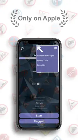 Game screenshot Driving Theory Test UK Lite apk
