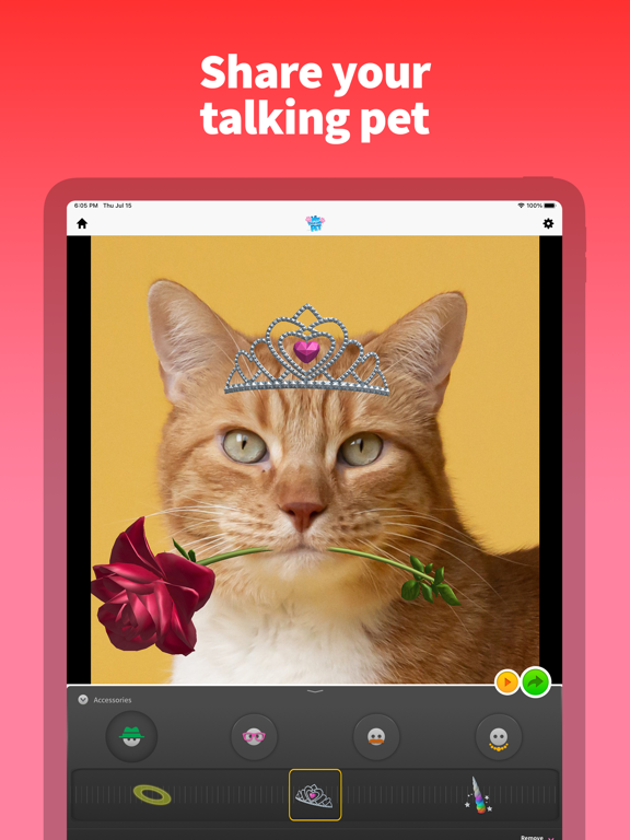 My Talking Pet screenshot 2