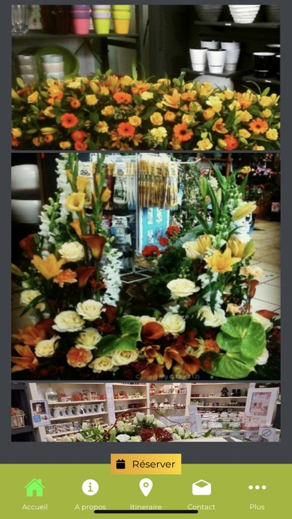 Pascaline Fleurs screenshot-4