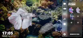Game screenshot Betta Fish - Virtual Aquarium hack