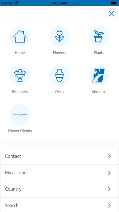 Heemskerk Flowers Screenshot