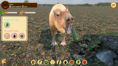Capybara Spa Screenshot