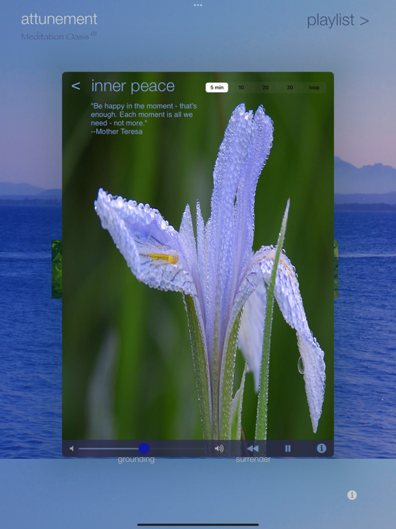 Screenshot #5 pour Attunement