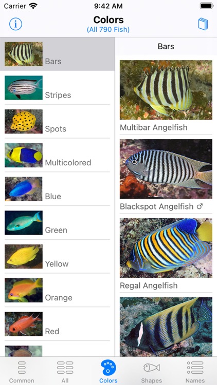 Solomon Islands Fish ID screenshot-3