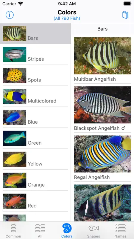 Solomon Islands Fish ID screenshot 4 of 10