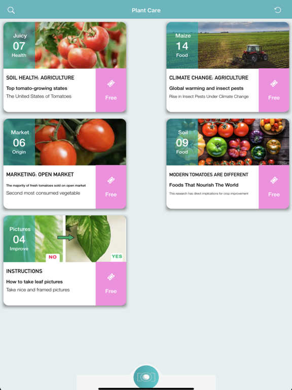 Screenshot #4 pour Tomato Diseases Identification