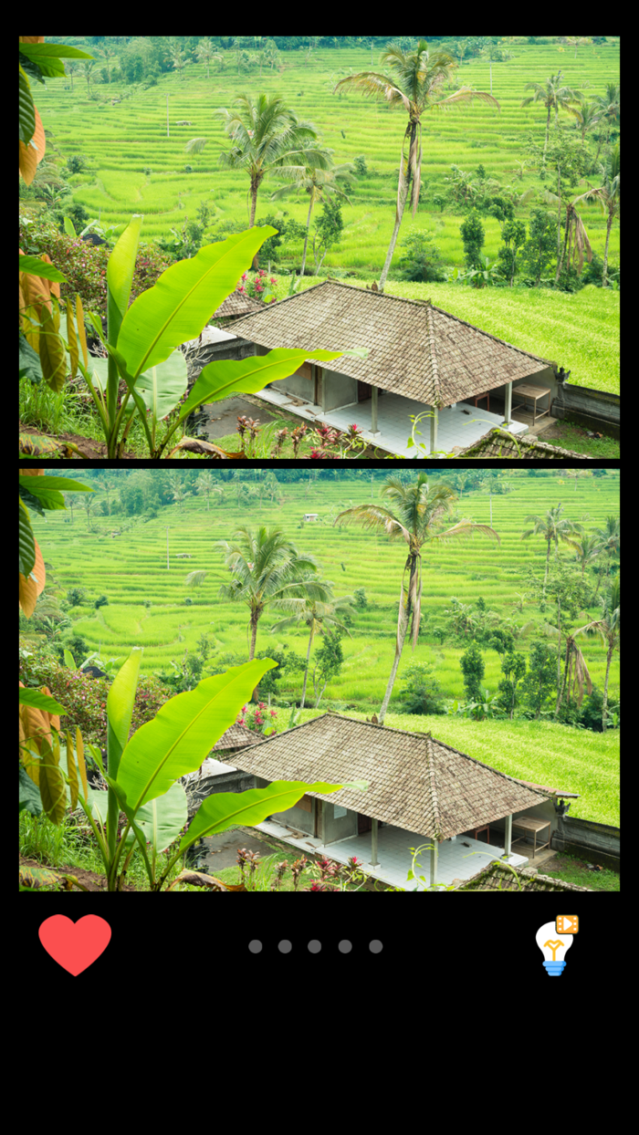 Find Differences Brain Puzzle