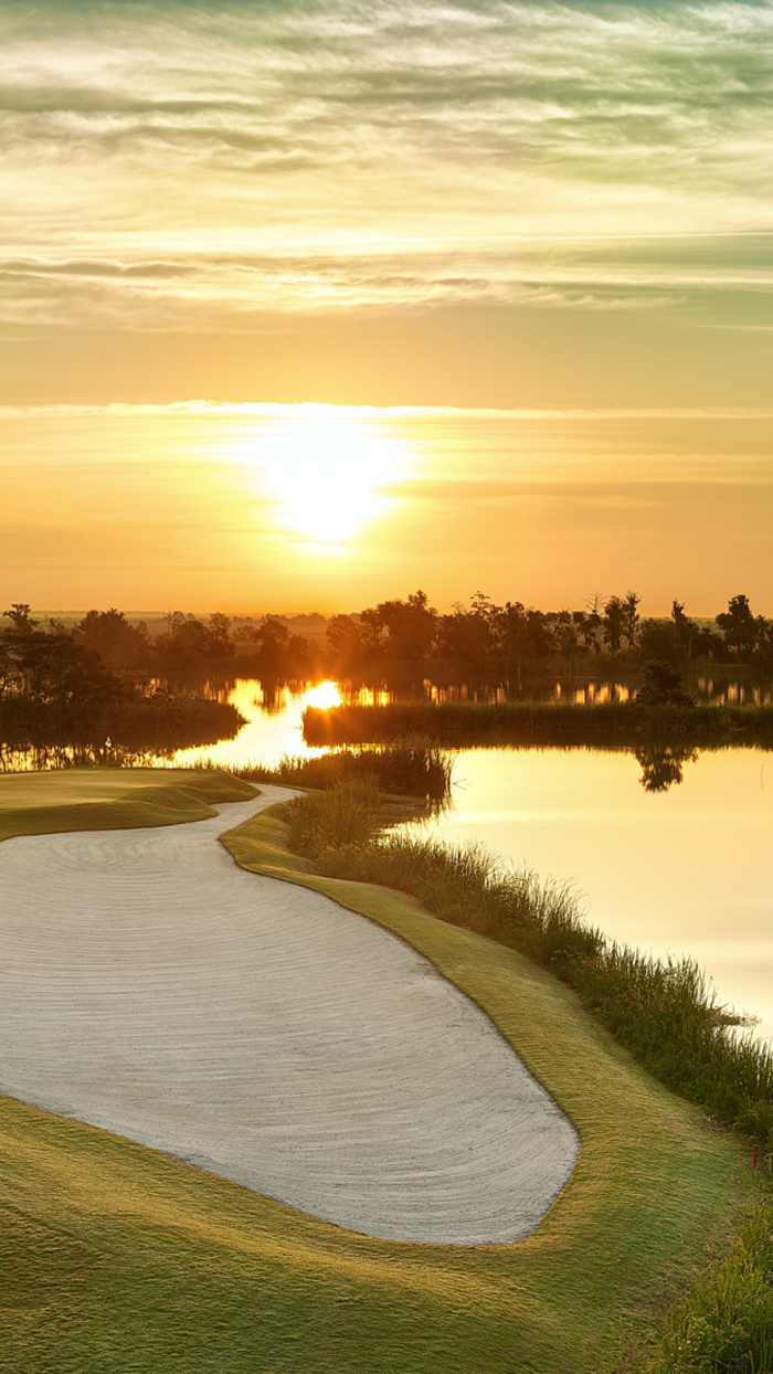 The Ford Field and River Club