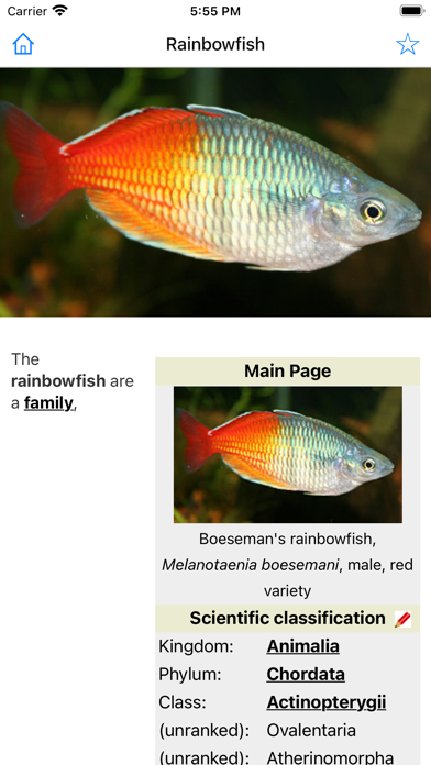 Encyclopedia of Fish Screenshot