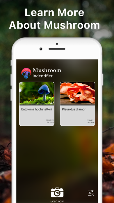Mushroom Identifier Fungus ID Screenshot