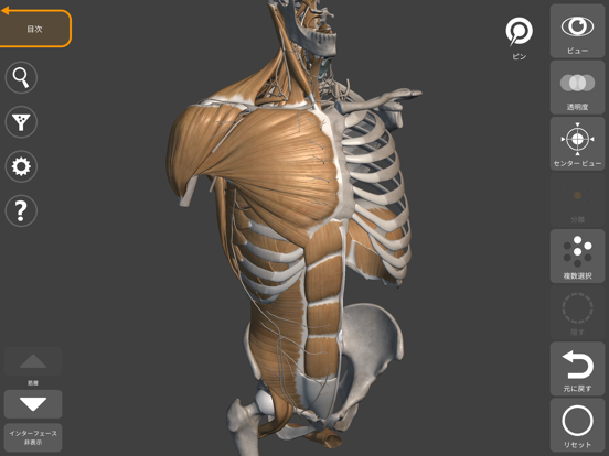 アーティストのための3D解剖学的構造 | バージョンのおすすめ画像4