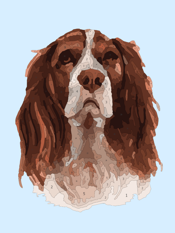 Color Space - Paint by Number