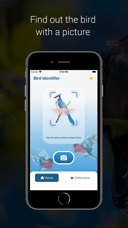 Bird Identifier - Picture Bird
