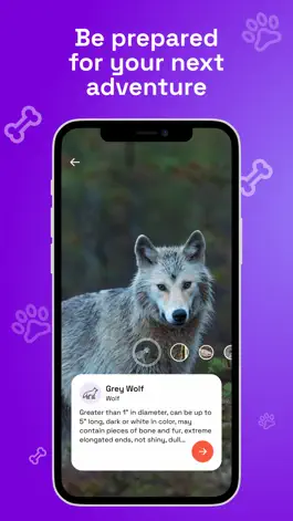 Game screenshot WhoPoo hack