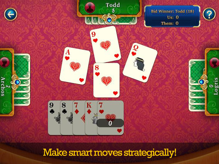 29 Card Game Offline Fun Game