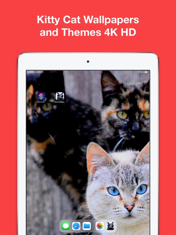 Screenshot #4 pour Kitty Cat Wallpapers 4K HD