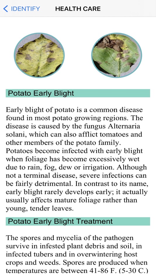 #7. Plants Diseases Identifier (iOS) 由: Jose Bello