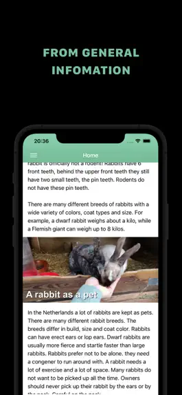 Game screenshot Rabbit information apk
