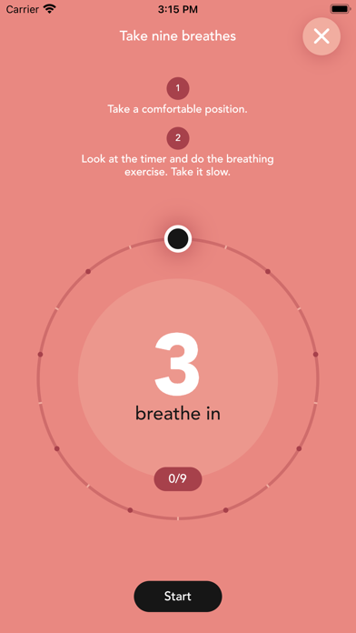 MindSummit Screenshot