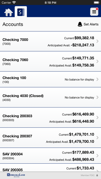 NebraskaLand Bank Business Screenshot