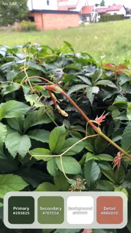 Game screenshot Colorwaver apk