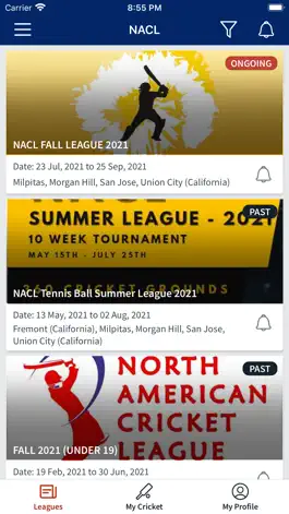 Game screenshot North American Cricket League hack