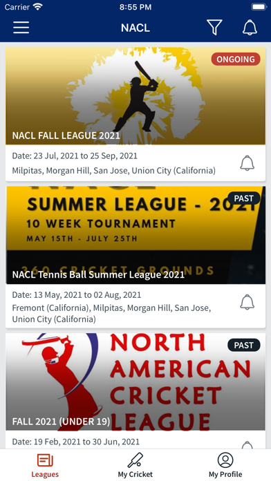 North American Cricket League Screenshot