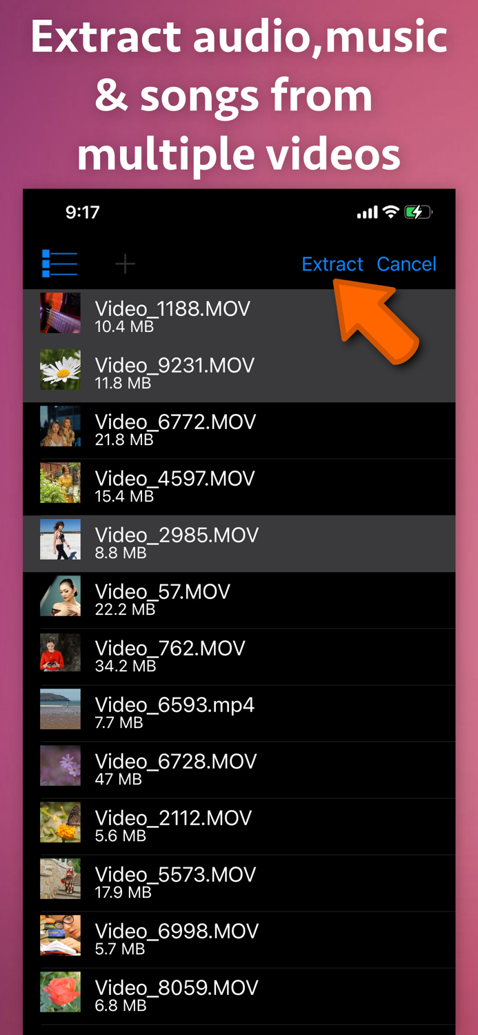 Video to Audio Extractor