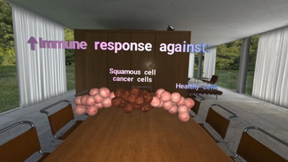 Squamous Cell Cancer-Head/Neck Screenshot