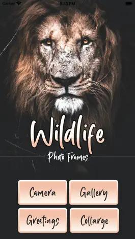 Game screenshot Wildlife Photo Frames Deluxe mod apk