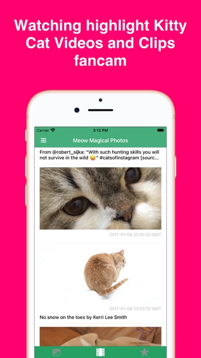 Screenshot #3 pour Kitty Cat Wallpapers 4K HD