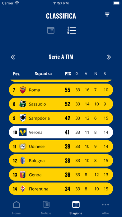HELLAS VERONA FOOTBALL CLUB Screenshot