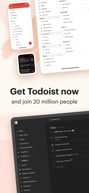 Todoist: To-Do List & Tasks