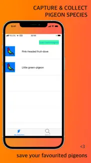 asian pigeon scan identifier iphone screenshot 3